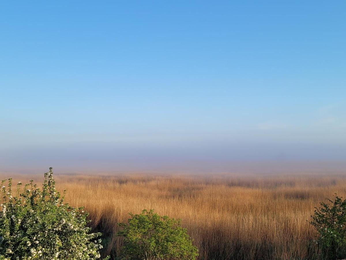 DOM GOŚCINNY PTASZARNIA - Ekologia - Natura - Rewilding Swinoujscie Bagian luar foto
