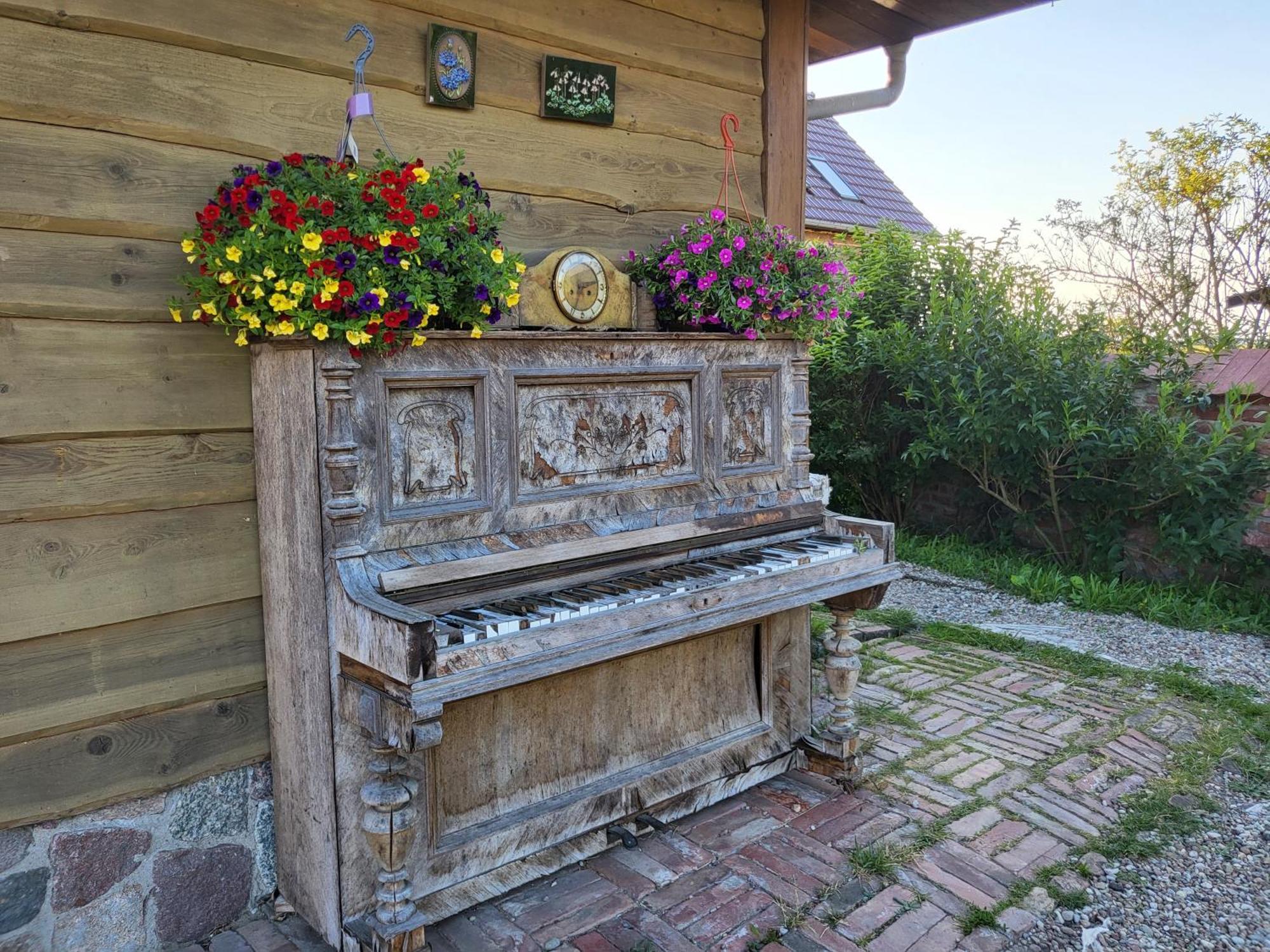 DOM GOŚCINNY PTASZARNIA - Ekologia - Natura - Rewilding Swinoujscie Bagian luar foto
