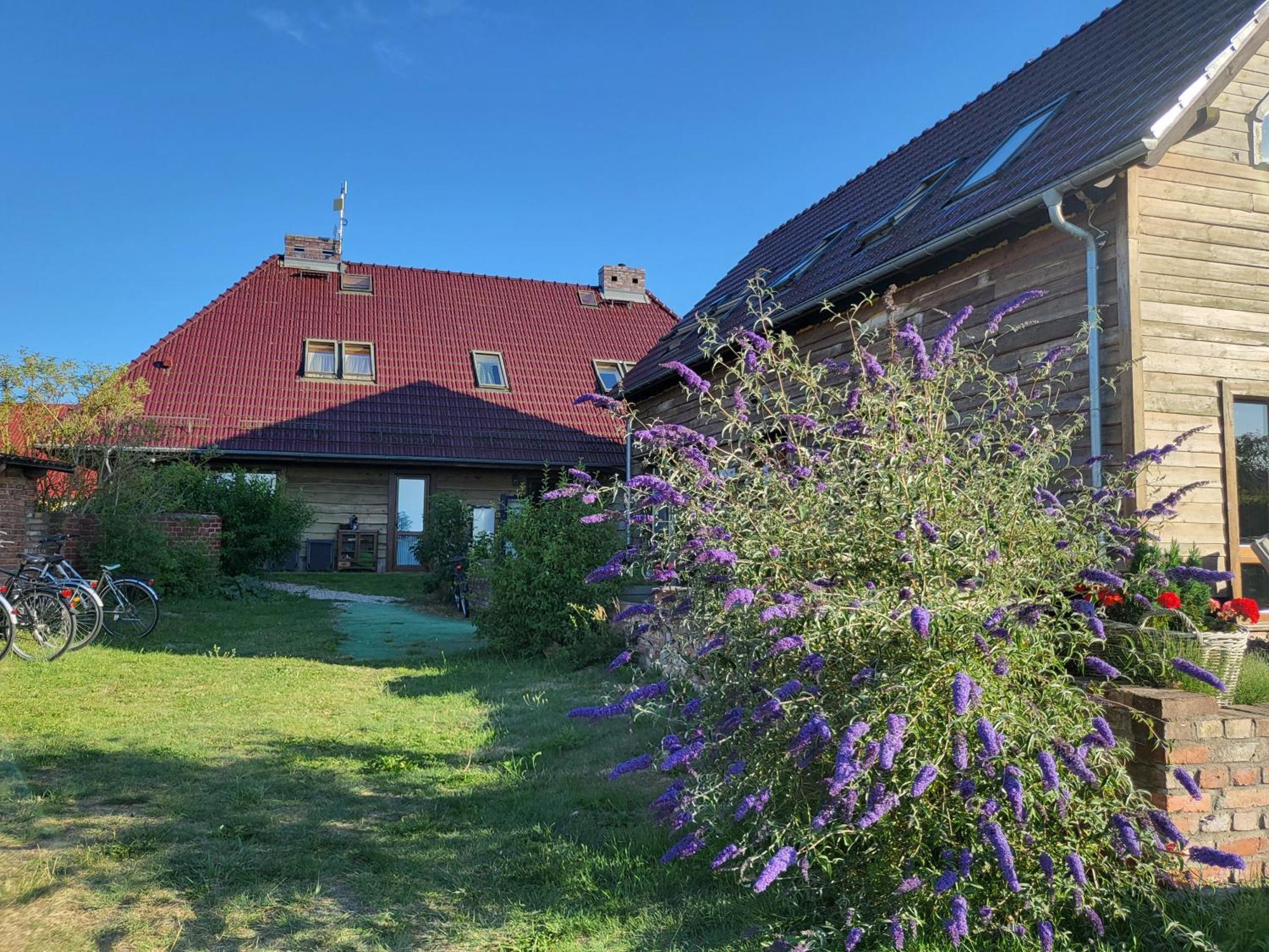 DOM GOŚCINNY PTASZARNIA - Ekologia - Natura - Rewilding Swinoujscie Bagian luar foto