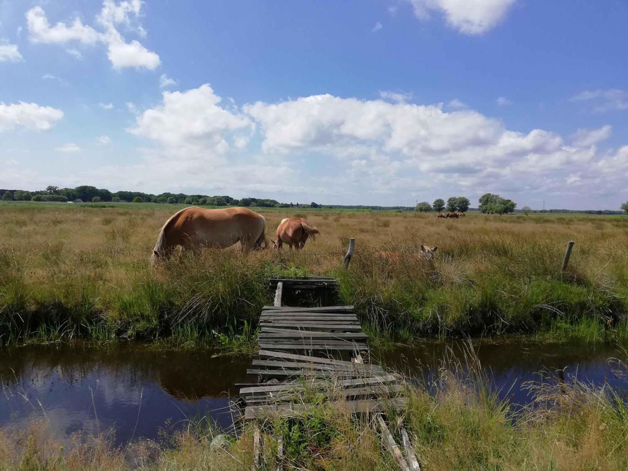 DOM GOŚCINNY PTASZARNIA - Ekologia - Natura - Rewilding Swinoujscie Bagian luar foto